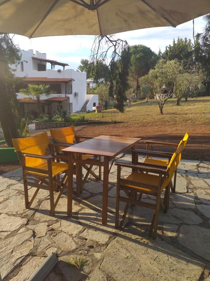 Cortessa Apartments Nikiti (Sithonia) Exterior photo